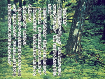 桜楓林　緑風奇譚 [羽林天軍]
