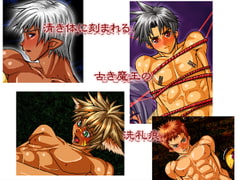 箱庭勇者の洗礼痕 [欺瞞の箱庭]