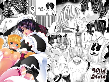 Wild on the Maid [ヨードリッヒプラン]