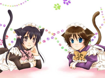 lovable cats 2007 [Natural Pooh]