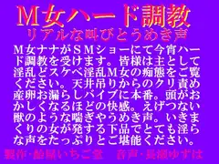 M女ハード調教・リアルな叫びとうめき声wav版