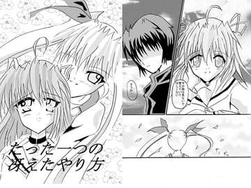 たった一つの冴えたやり方 [FREEDOM]