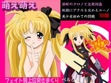 フェイトのないしょ [スタジオジェネシス]