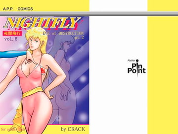 NIGHTFLY vol.6 [アトリエピンポイント]