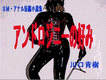 SM・アナル短編小説集「アンドロジニーの好み」 [Mドリーム]