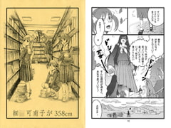 Hosokawa Ka*ako - 358cm [Kuronekokan Monpetit]