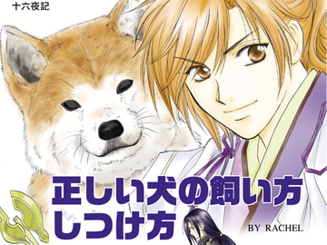 正しい犬の飼い方しつけ方 [イリュミナシオン]