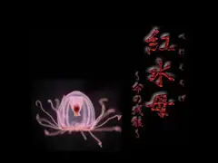 紅水母～命の残骸～