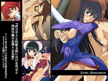 武力介入と技術支援における外交と肉体労働の赤裸々な実態 [がんもぅ工房]