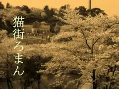 猫街ろまん