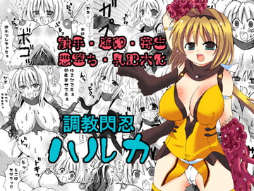 調教閃忍ハルカ [ルキンフォー]