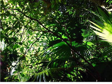 ☆癒しのヒーリング音楽 総集編vol.1 全5タイトル19曲セット☆ [月に憑かれたピエロ]