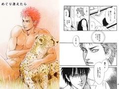 めぐり逢えたら [ゆきはな社]