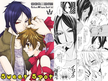 Sweet　Spot [La・Pis]