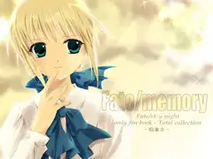 Fate/memory