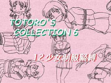 TOTORO'S COLLECTION 6 [TOTORO]