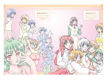 チョコレートケーキの本 [ささらカプチー]