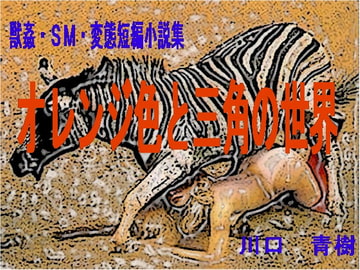 獣○・SM・変態短編小説集「オレンジ色と三角の世界」 [Mドリーム]