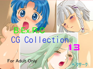 ベクサークCG COLLECTION13 [ベクサーク]