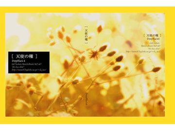 DeepBlack4 [アイツウシン]