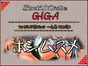 フルカラー18禁コミック 『ホシムスメ』一之巻 [ADVANCEDトィンクル☆キャッスル+忍城GIGA]