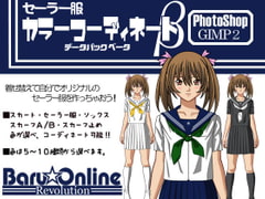 セーラー服コーディネートデータパック ベータ [LOWLEE-COM]