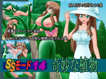 SSモード14 [PAINT MODE]