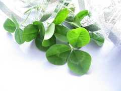 BGM Collection 30 Songs Vol.01  [maruo]