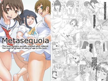 Metosequoia [Rabbit hutch]