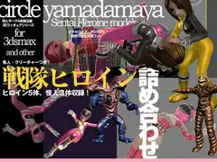 耶麻玉3Dキャラクター 戦隊ヒロイン詰め合わせ
