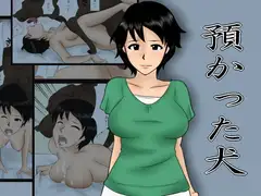 預かった犬