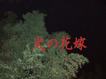 犬の花嫁 [猫屋]