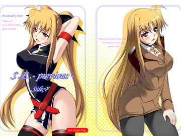 S.E.-previous-Side;F [ArcS]