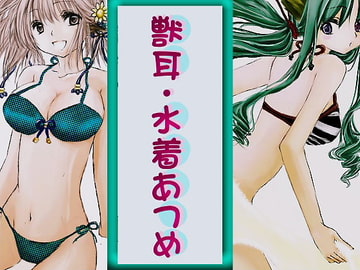 獣耳・水着あつめ [彩の軌跡]