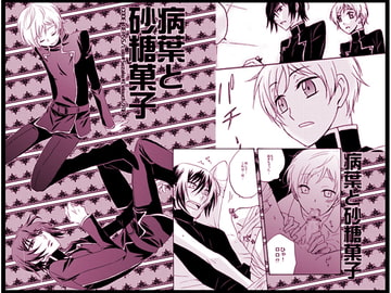 病葉と砂糖菓子 [goonca]