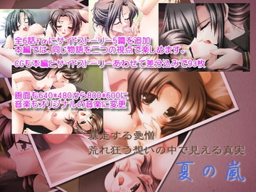 夏の嵐PLUS [Astarte]