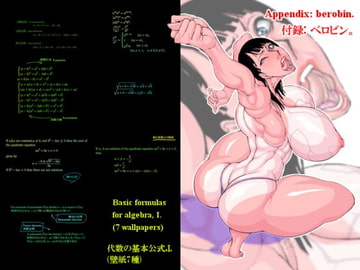 Basic formulas for algebra,I. [めぐみ77]