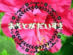 おそとがだいすき