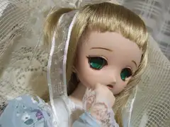 愛玩動物チビ・小さな身体で受け止めるもの