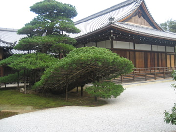 女囚哀史シリーズ [善鐘会]