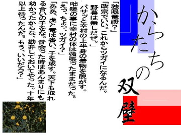 からたちの双璧 [紅葉]