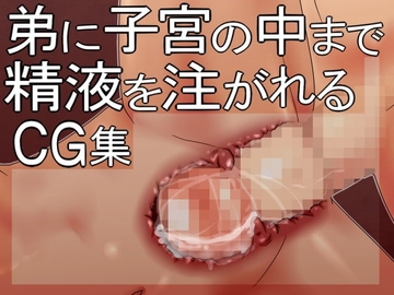 弟に子宮の中まで精液を注がれるCG集 [＠さう]