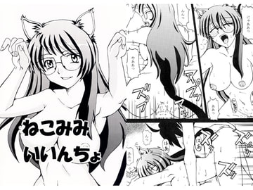 ねこみみいいんちょ [FOOLS WORKS]