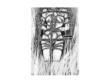 女囚哀史シリーズ第二弾 [善鐘会]