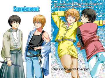 Supplement エネルギー7 [色々雑貨店]