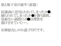 狼と地下室の蜜牢(前篇)