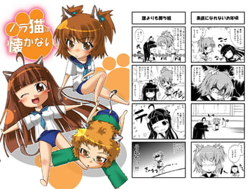 ノラ猫は懐かない [流れ星の唄]