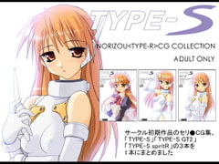 TYPE-S [R's factory]