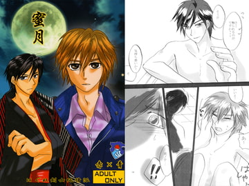 蜜月 [はぐれ検事純情派]