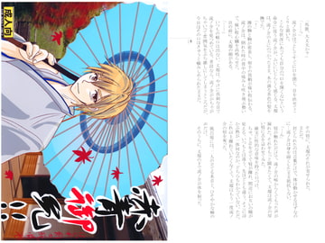 赤青御免！！ [はぐれ検事純情派]